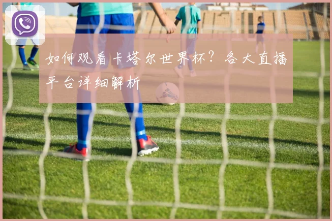 如何观看卡塔尔世界杯?各大直播平台详细解析