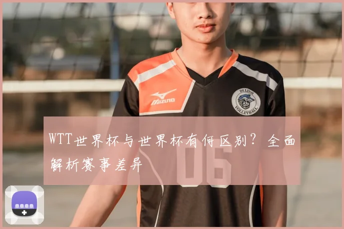 WTT世界杯与世界杯有何区别?全面解析赛事差异