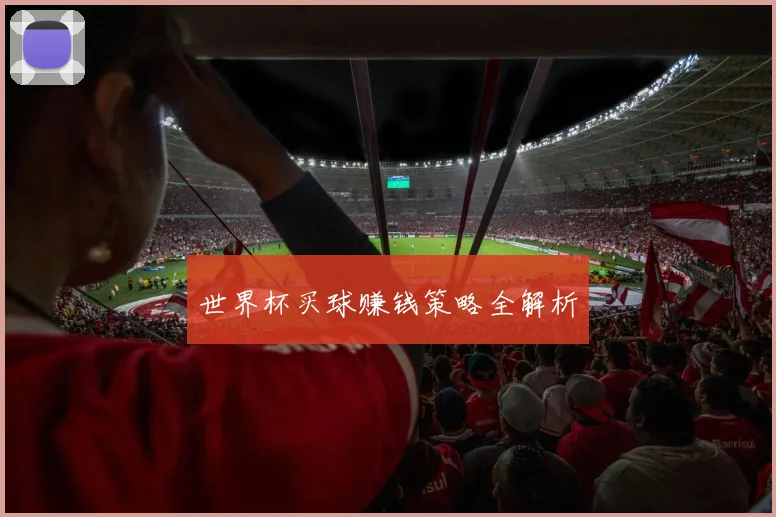 世界杯买球赚钱策略全解析