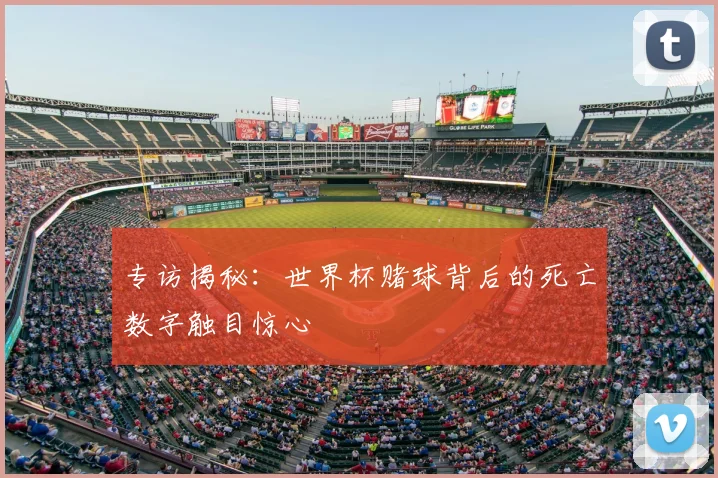 专访揭秘:世界杯赌球背后的死亡数字触目惊心