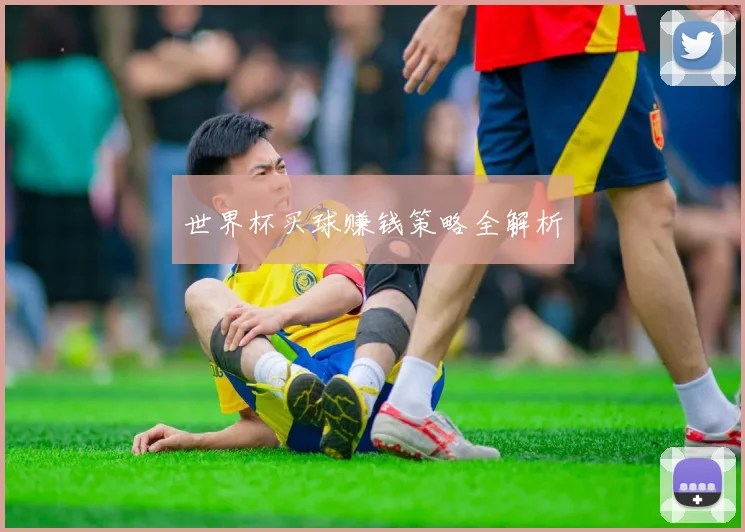 世界杯买球赚钱策略全解析