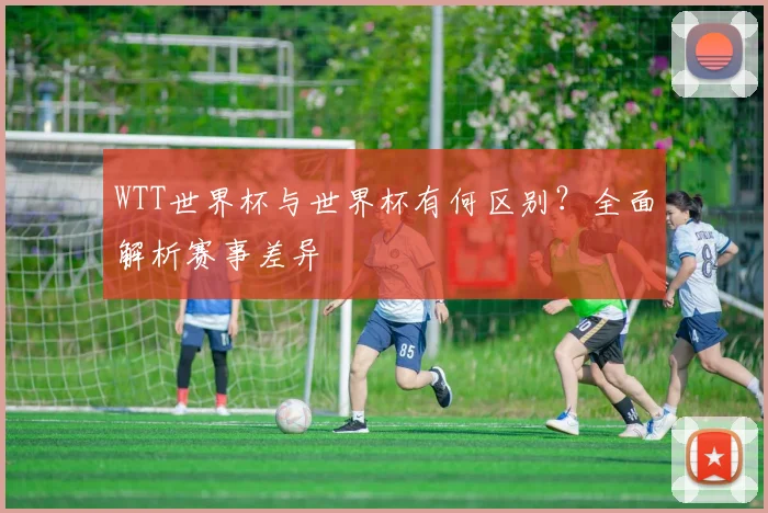 WTT世界杯与世界杯有何区别?全面解析赛事差异