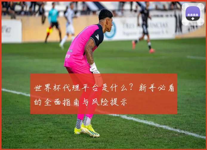 世界杯代理平台是什么?新手必看的全面指南与风险提示