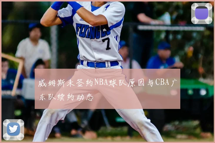 威姆斯未签约NBA球队原因与CBA广东队续约动态