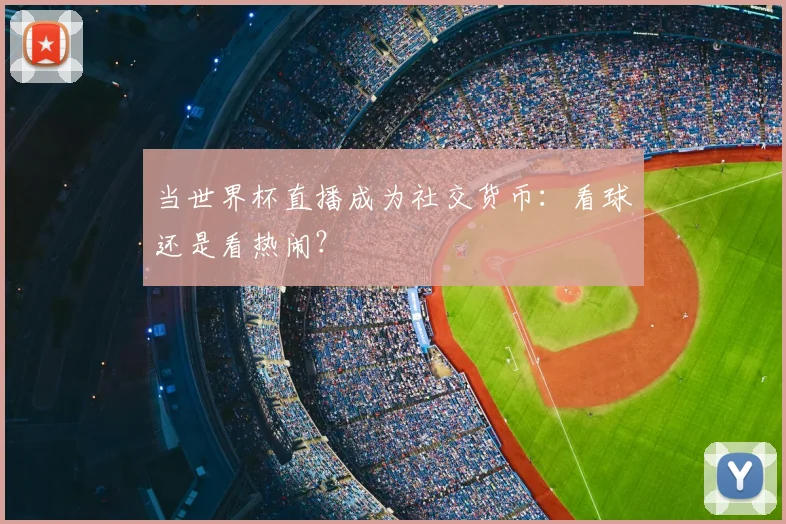 当世界杯直播成为社交货币：看球还是看热闹？