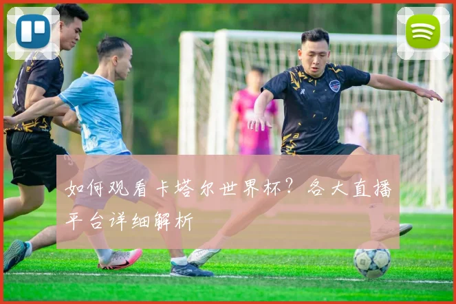 如何观看卡塔尔世界杯?各大直播平台详细解析